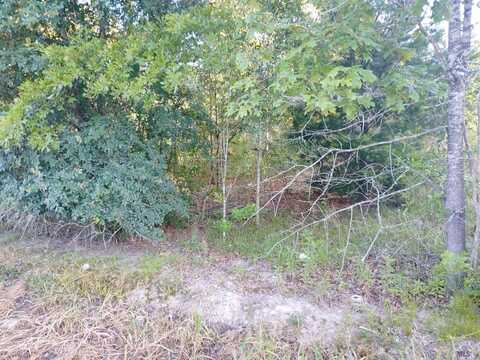 Tbd J B Averett Rd, Livingston, LA 70754