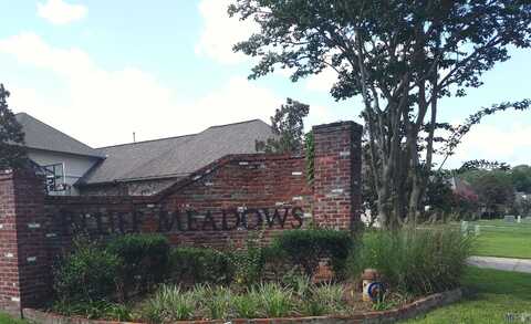 36181 Bluff Meadows Dr, Prairieville, LA 70769