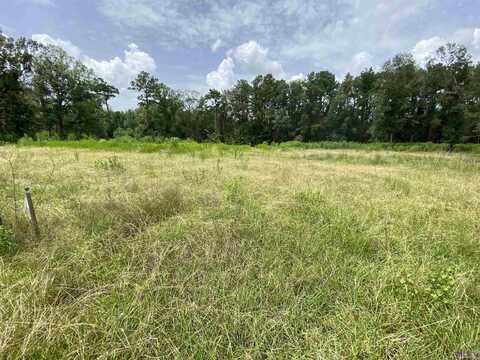 28401 COKER VAIL RD, Holden, LA 70744