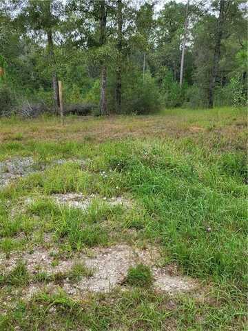 0 Roberts Road, Chunchula, AL 36521