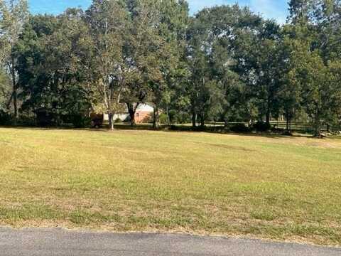 12553 Bell Creek Drive N, Grand Bay, AL 36541