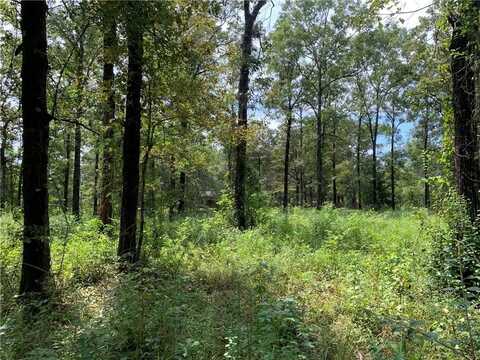 0 Bell Drive, Creola, AL 36525