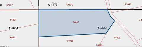 20 Acres UNIT #413 LOT 1, Sierra Blanca, TX 79851