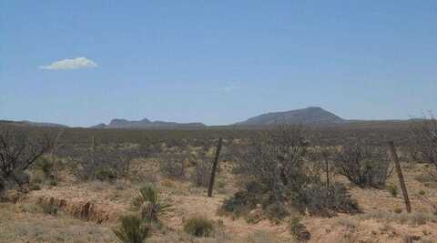 71 Tsp 6 SEC 7 T&P Gunsight Ranch Lot 9 Road, Sierra Blanca, TX 79851