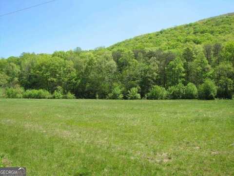 0 Hog Jowl (18.59 ac), Chickamauga, GA 30707