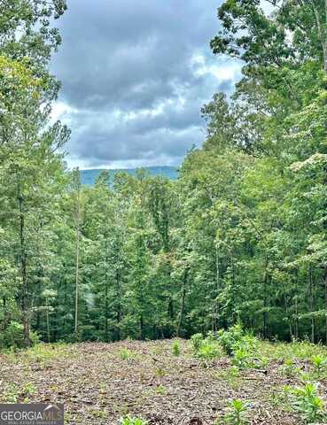 Lot 315 Pebble, Talking Rock, GA 30175