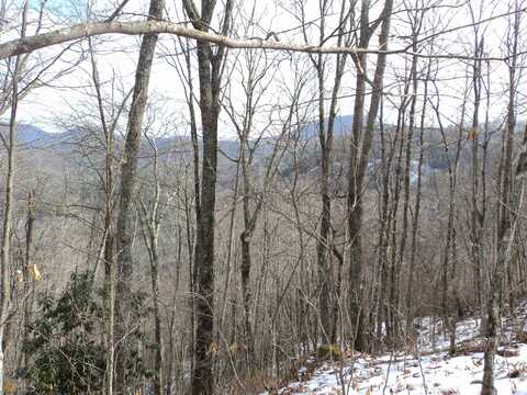 0 Evans Creek, Scaly Mountain, NC 28775