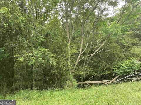 0 River Birch, Colbert, GA 30628