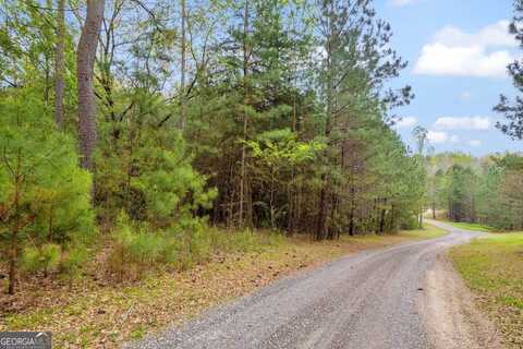 0 Lakeway, Martin, GA 30557