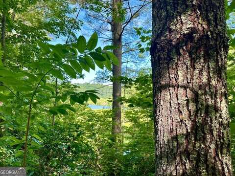 Lot 46 Trillium, Hayesville, NC 28904