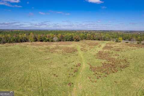 Lot 6 Wallace, Madison, GA 30650