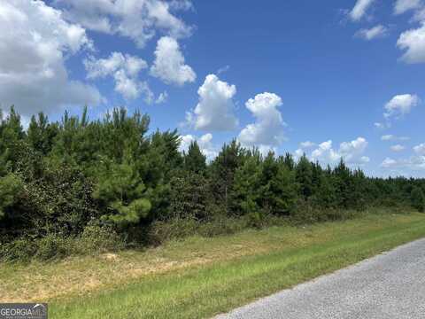 Lot 4 Whitfield, Elko, GA 31025