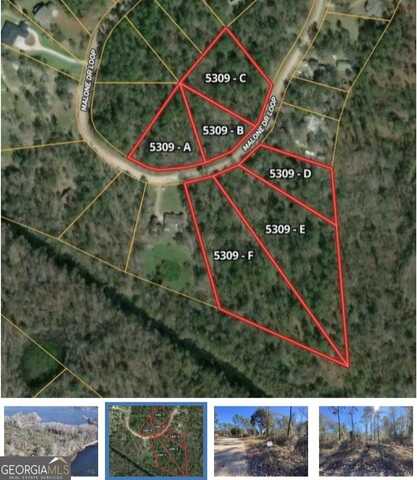 Lot 1071 Malone Drive Loop, Donalsonville, GA 39845