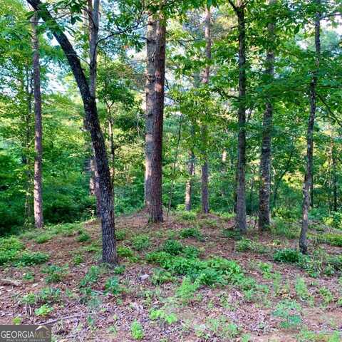 Lot 27 Solo, Warne, NC 28909