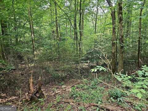 0 Ivy, Ellijay, GA 30540