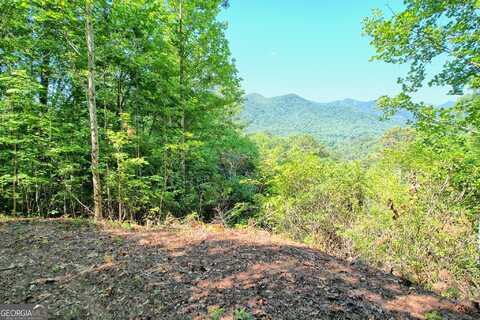 0 Raven Fork Trail, Dillard, GA 30537