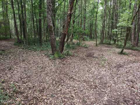 Lot 3 Coatsworth, Stockbridge, GA 30281