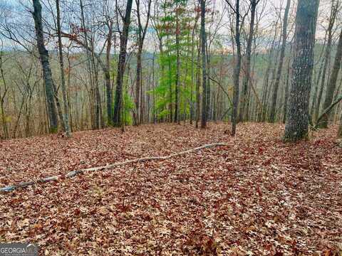 209 Harris Ridge, Ellijay, GA 30540