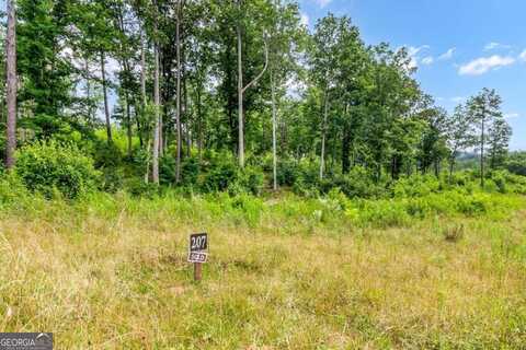 Lot 207 Oak Park Dr, Talking Rock, GA 30175