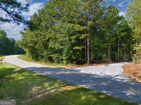 Lot 3 Gum Creek Airport, Roopville, GA 30170