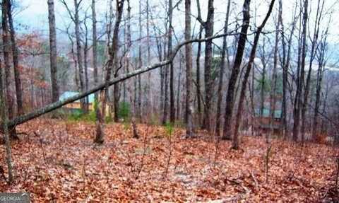 Lot 65 Timberline Acres, Young Harris, GA 30582