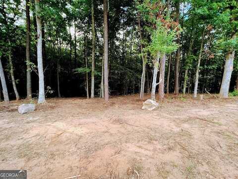 000 US Hwy 27 S (Approx 13.14 Acres), Roopville, GA 30170