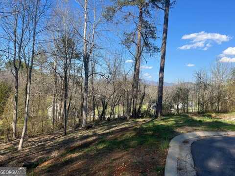 Lot 11 Bent Grass, Hayesville, NC 28904