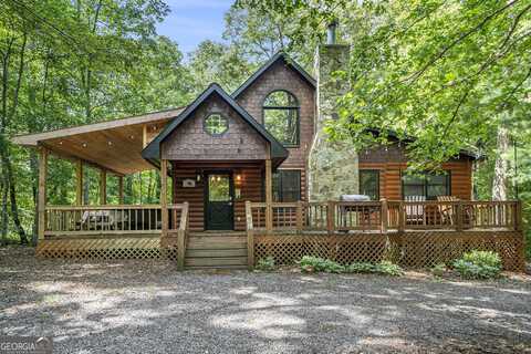 162 Little Falls, Mineral Bluff, GA 30559