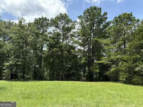 117 Pine Hill, Cusseta, GA 31805