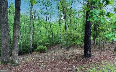 Lot 7 Brasstown Trails, Warne, NC 28909