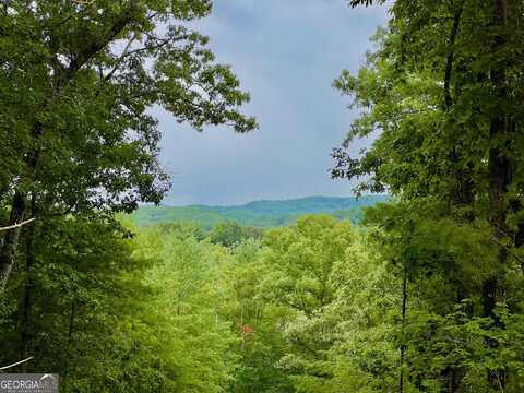 00 Ridge, Morganton, GA 30560