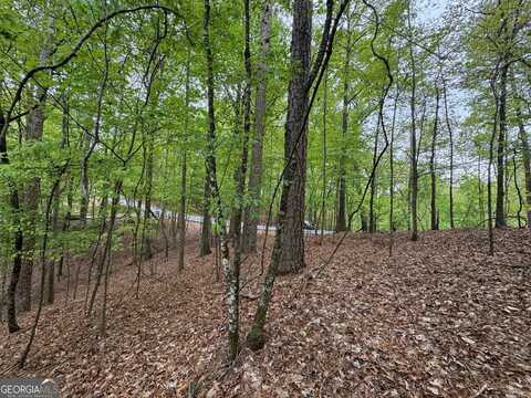 Lot 1833 Newport, Ellijay, GA 30540