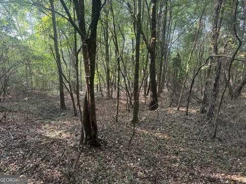 0 Ridge, Cave Spring, GA 30124