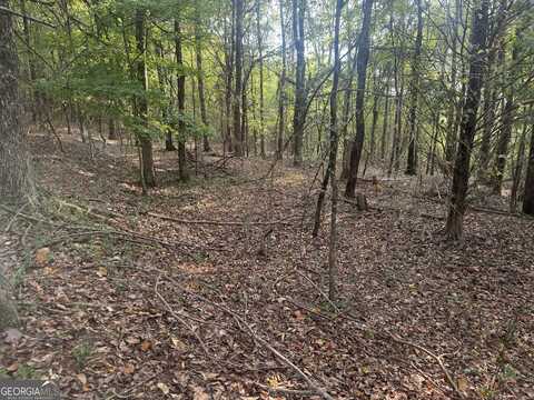 00 Ridge, Cave Spring, GA 30124