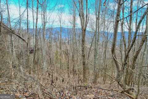 Lot 123 Shiloh, Hayesville, NC 28904