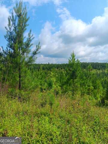 0 Lake Sinclair, Sparta, GA 31087