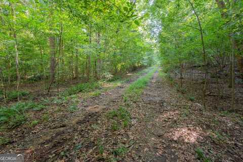 198.62+/- Acres Apalachee Woods, Buckhead, GA 30625