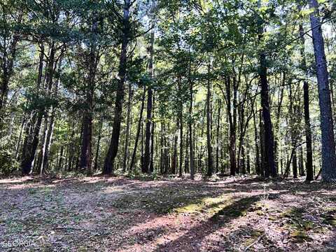 600 Hillview TRACT 2, Hampton, GA 30228