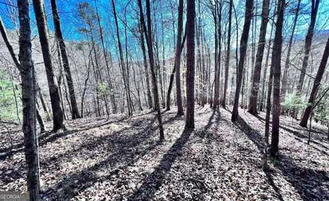 Lt 144 Alcan, Ellijay, GA 30540