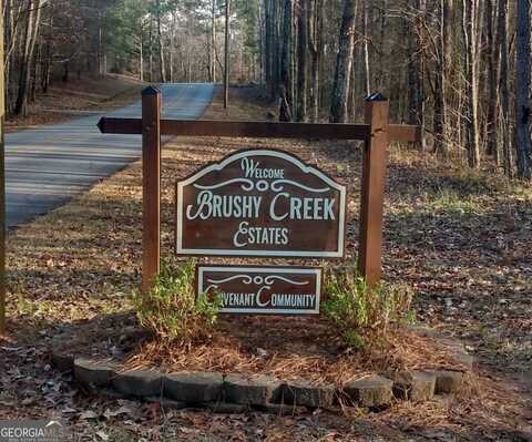 509 Brushy Creek, Jackson, GA 30233