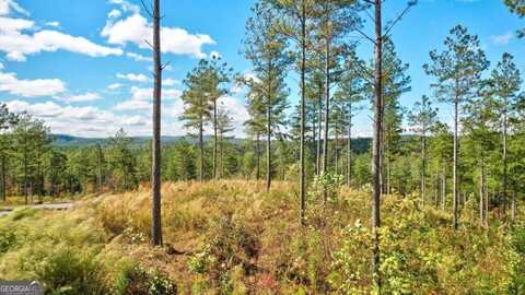 Lt 62 Seven Mile Creek, Talking Rock, GA 30175