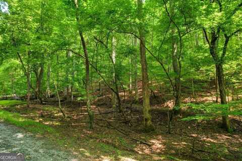 Lot 1972 Nancy, Ellijay, GA 30540