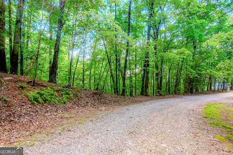 Lt J349 Walnut Mountain, Ellijay, GA 30540