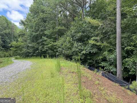 0 Reece Mountain Road, Ellijay, GA 30536