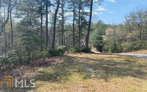 Lot 28 Brasstown Trails, Warne, NC 28909