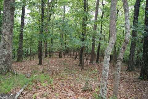 0 Bumpy, Dawsonville, GA 30534