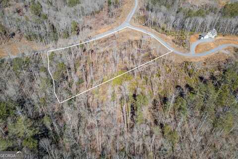 Lt167 High, Ellijay, GA 30540