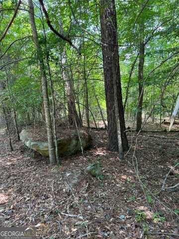 0 Crooked Creek Bay, Eatonton, GA 31024