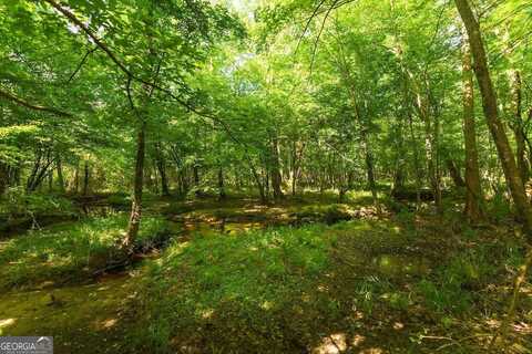 6053 Sunhill Grange Rd., Davisboro, GA 31018