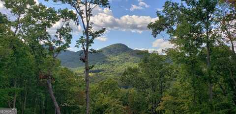 Lt17 Mill, Hiawassee, GA 30546